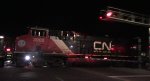 CN 3900